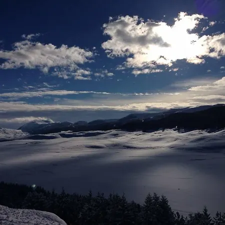 Ginepro D'abruzzo *