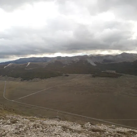 Ginepro D'abruzzo *