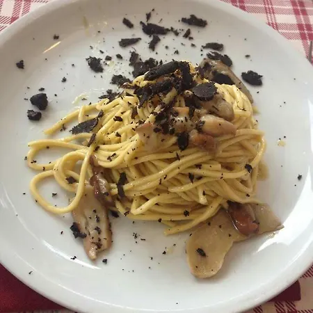 Ginepro D'abruzzo * Casamaina