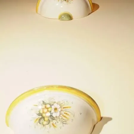 Ginepro D'abruzzo *